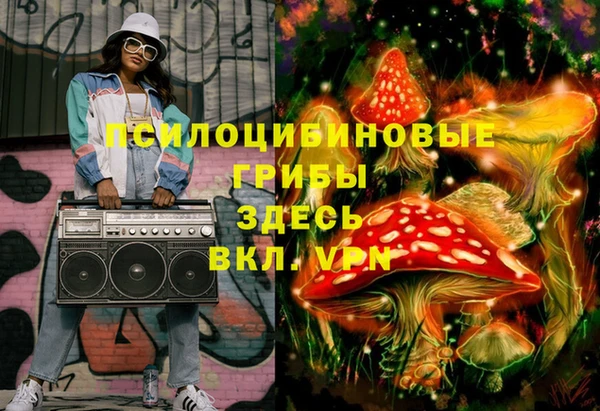 молекула духа Армянск