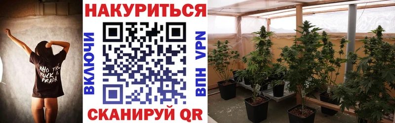 Конопля SATIVA & INDICA  MEGA сайт  Усть-Джегута 
